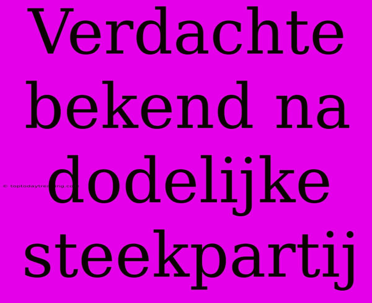 Verdachte Bekend Na Dodelijke Steekpartij