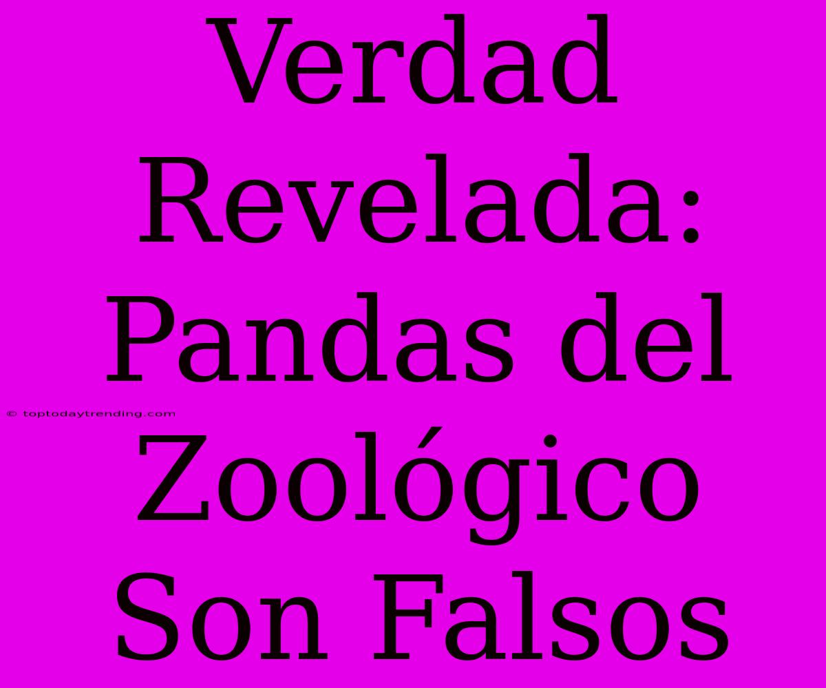 Verdad Revelada: Pandas Del Zoológico Son Falsos