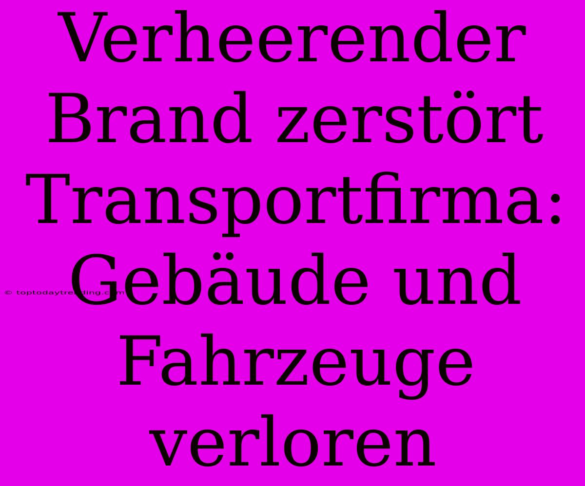 Verheerender Brand Zerstört Transportfirma: Gebäude Und Fahrzeuge Verloren