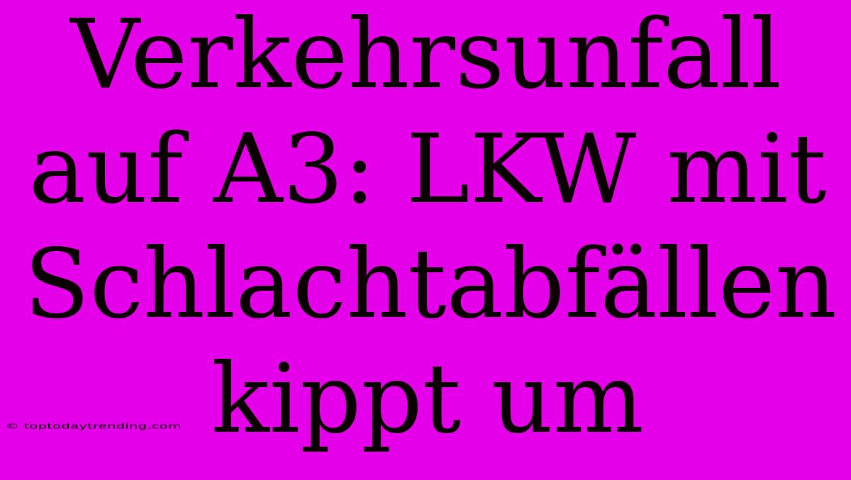 Verkehrsunfall Auf A3: LKW Mit Schlachtabfällen Kippt Um