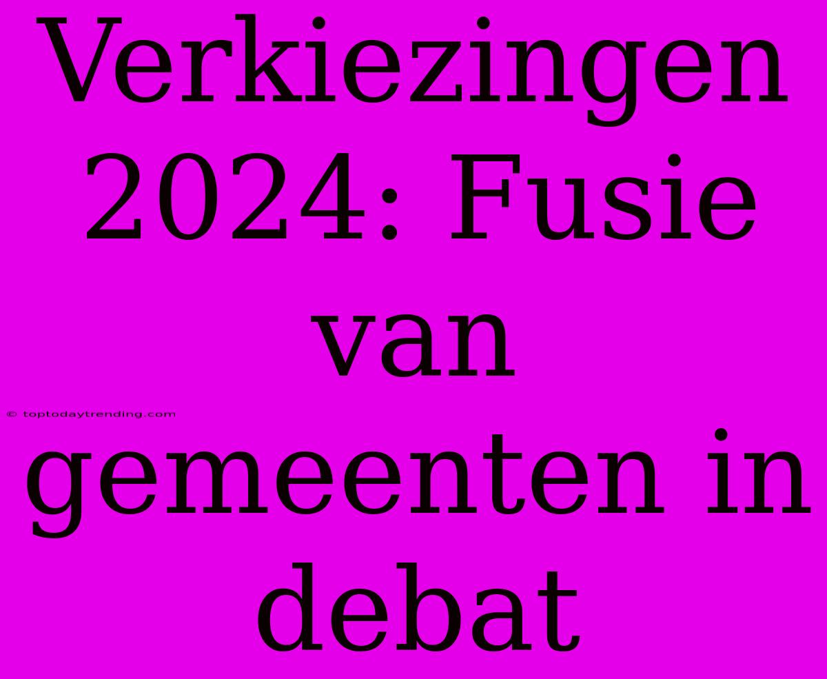 Verkiezingen 2024: Fusie Van Gemeenten In Debat