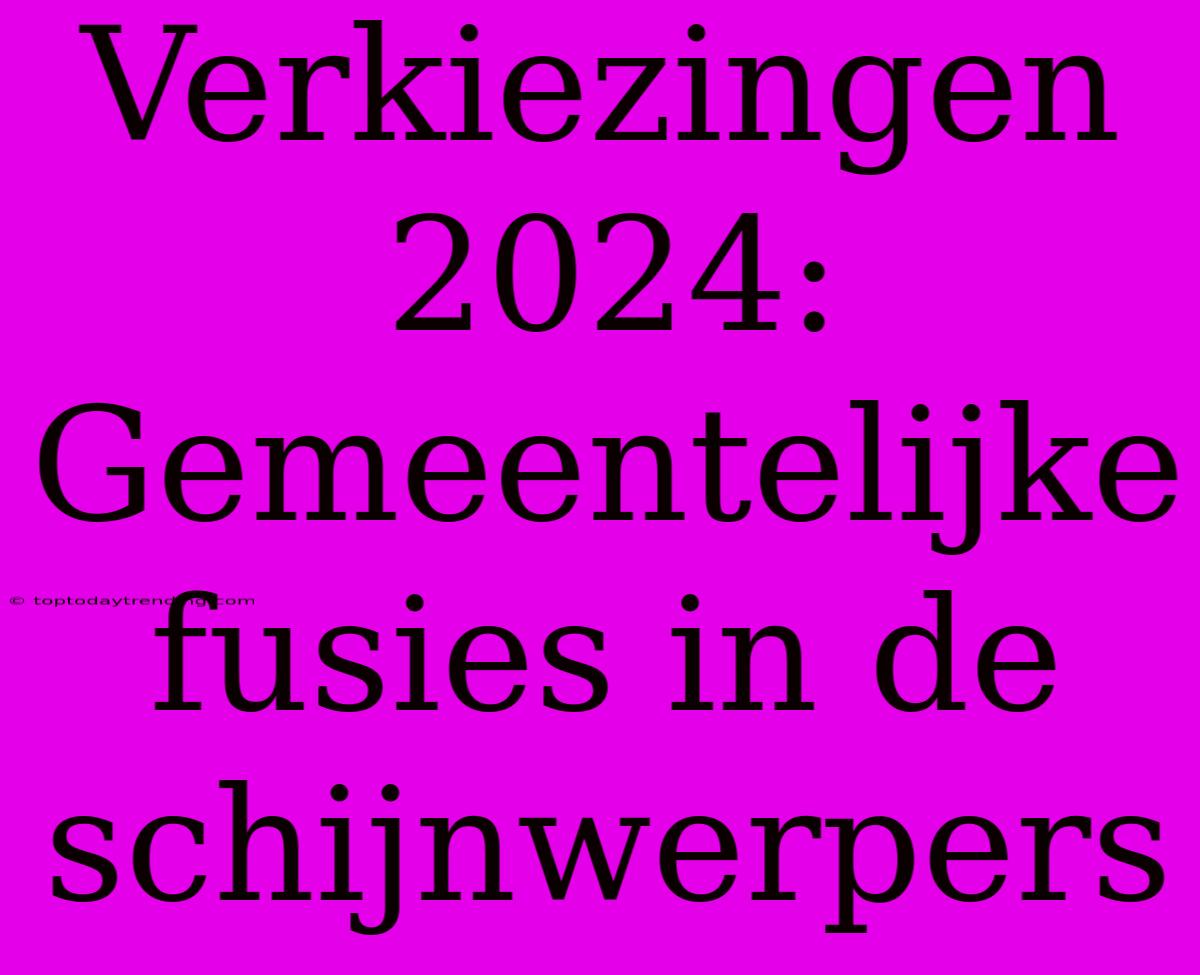 Verkiezingen 2024: Gemeentelijke Fusies In De Schijnwerpers