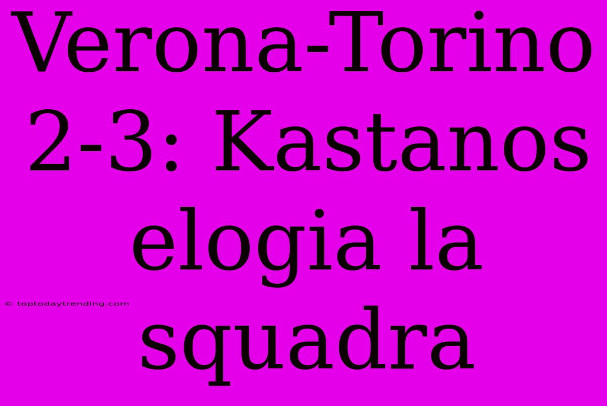 Verona-Torino 2-3: Kastanos Elogia La Squadra