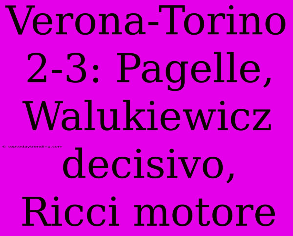 Verona-Torino 2-3: Pagelle, Walukiewicz Decisivo, Ricci Motore