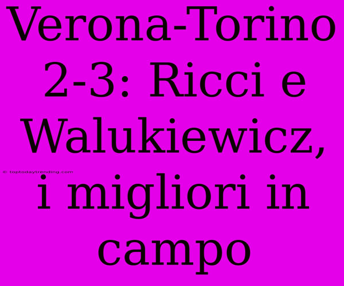 Verona-Torino 2-3: Ricci E Walukiewicz, I Migliori In Campo