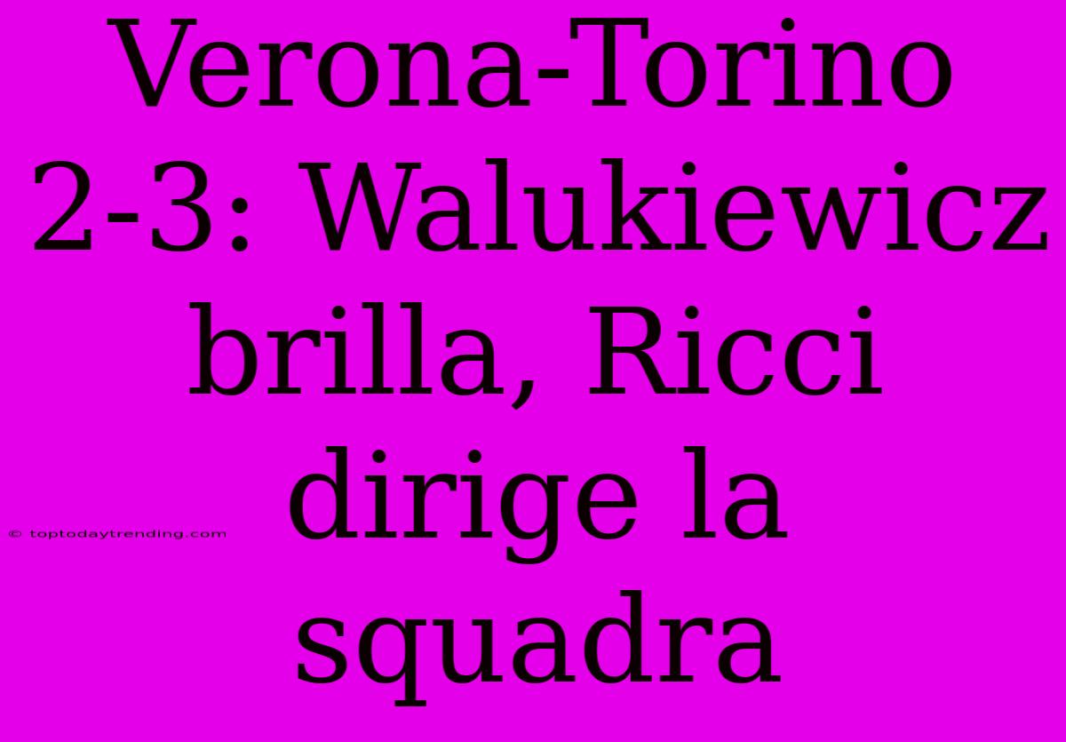 Verona-Torino 2-3: Walukiewicz Brilla, Ricci Dirige La Squadra