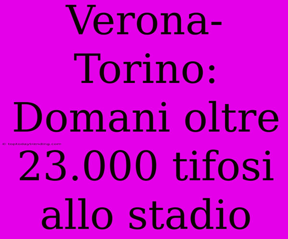 Verona-Torino: Domani Oltre 23.000 Tifosi Allo Stadio