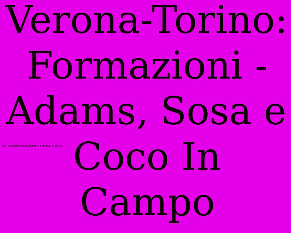 Verona-Torino: Formazioni - Adams, Sosa E Coco In Campo