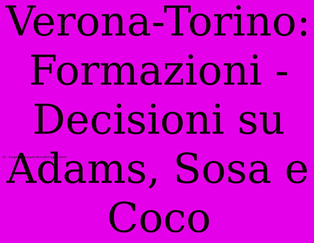 Verona-Torino: Formazioni - Decisioni Su Adams, Sosa E Coco