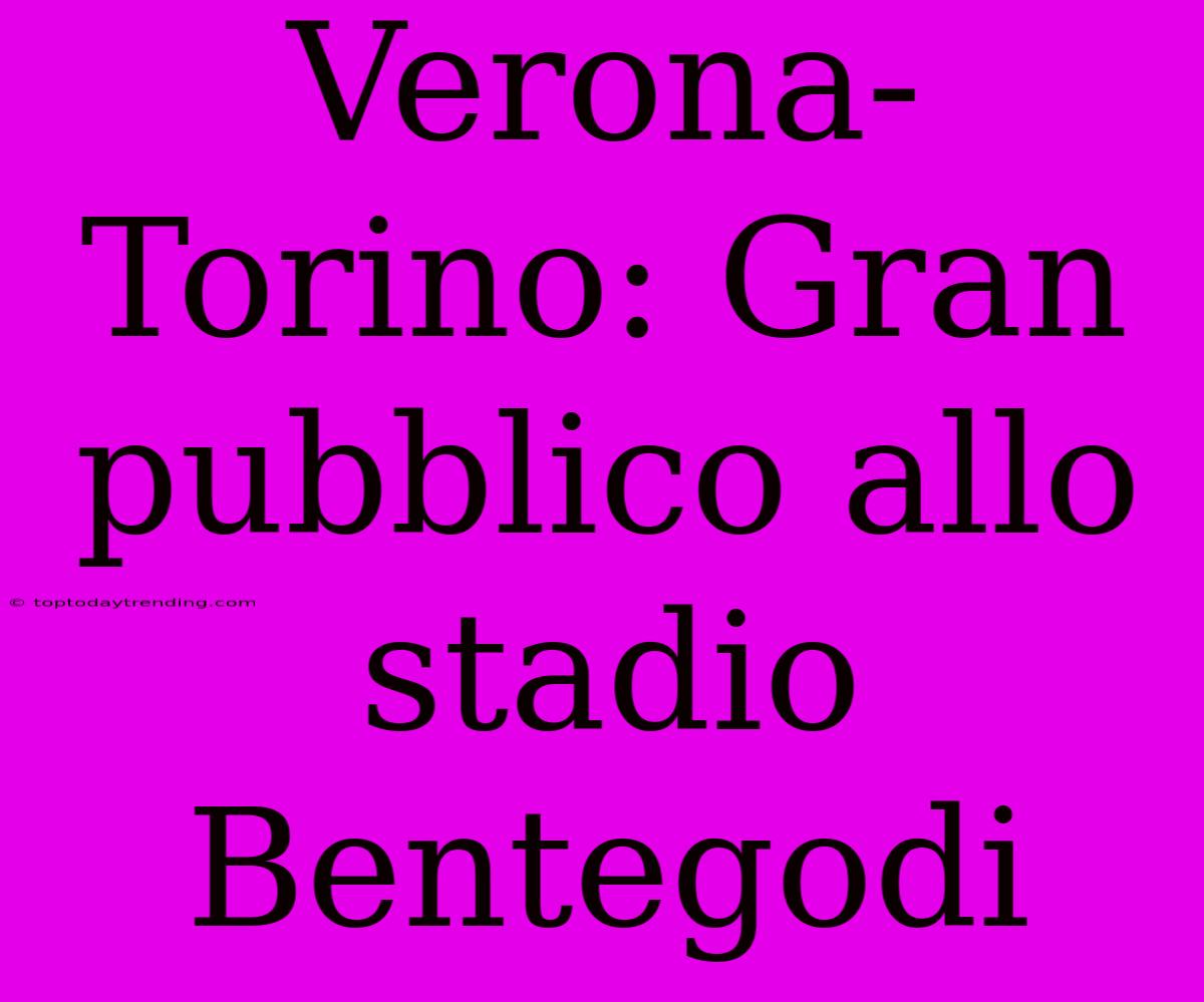 Verona-Torino: Gran Pubblico Allo Stadio Bentegodi