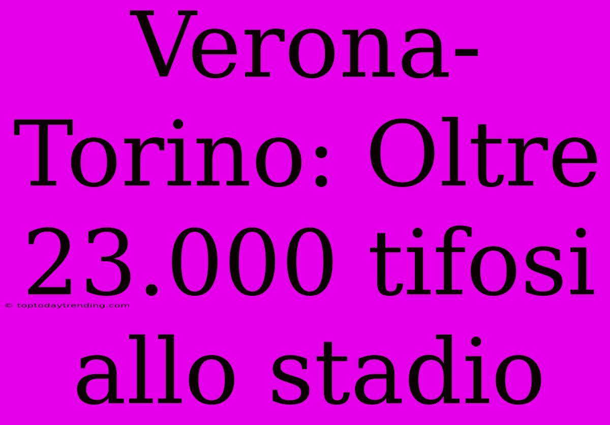 Verona-Torino: Oltre 23.000 Tifosi Allo Stadio