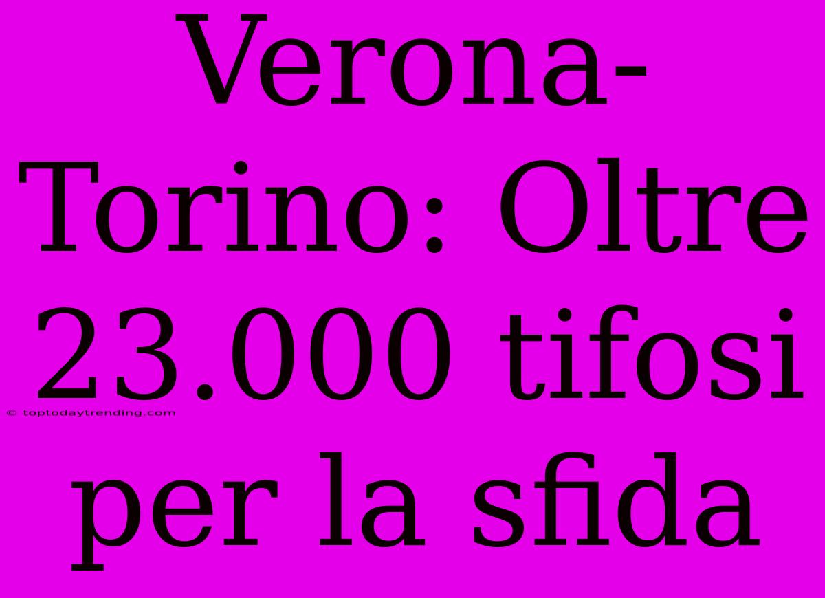 Verona-Torino: Oltre 23.000 Tifosi Per La Sfida