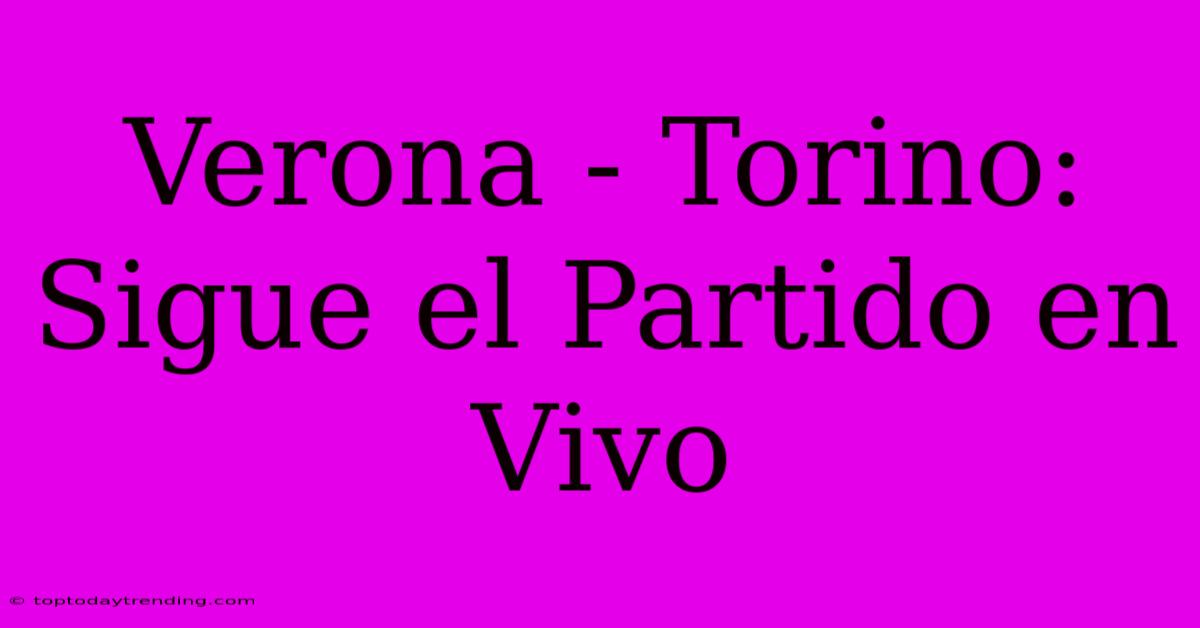 Verona - Torino: Sigue El Partido En Vivo