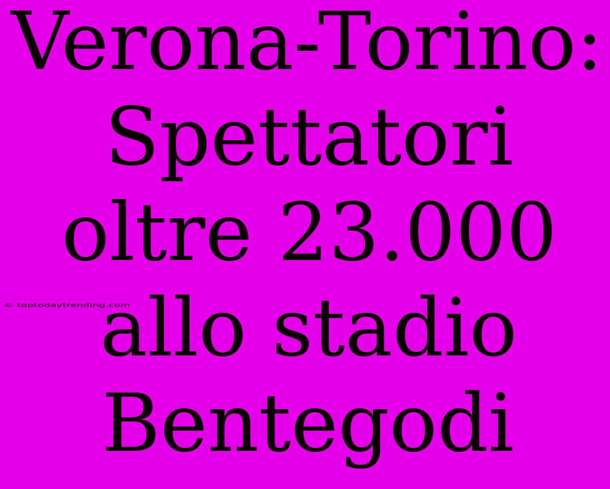 Verona-Torino: Spettatori Oltre 23.000 Allo Stadio Bentegodi