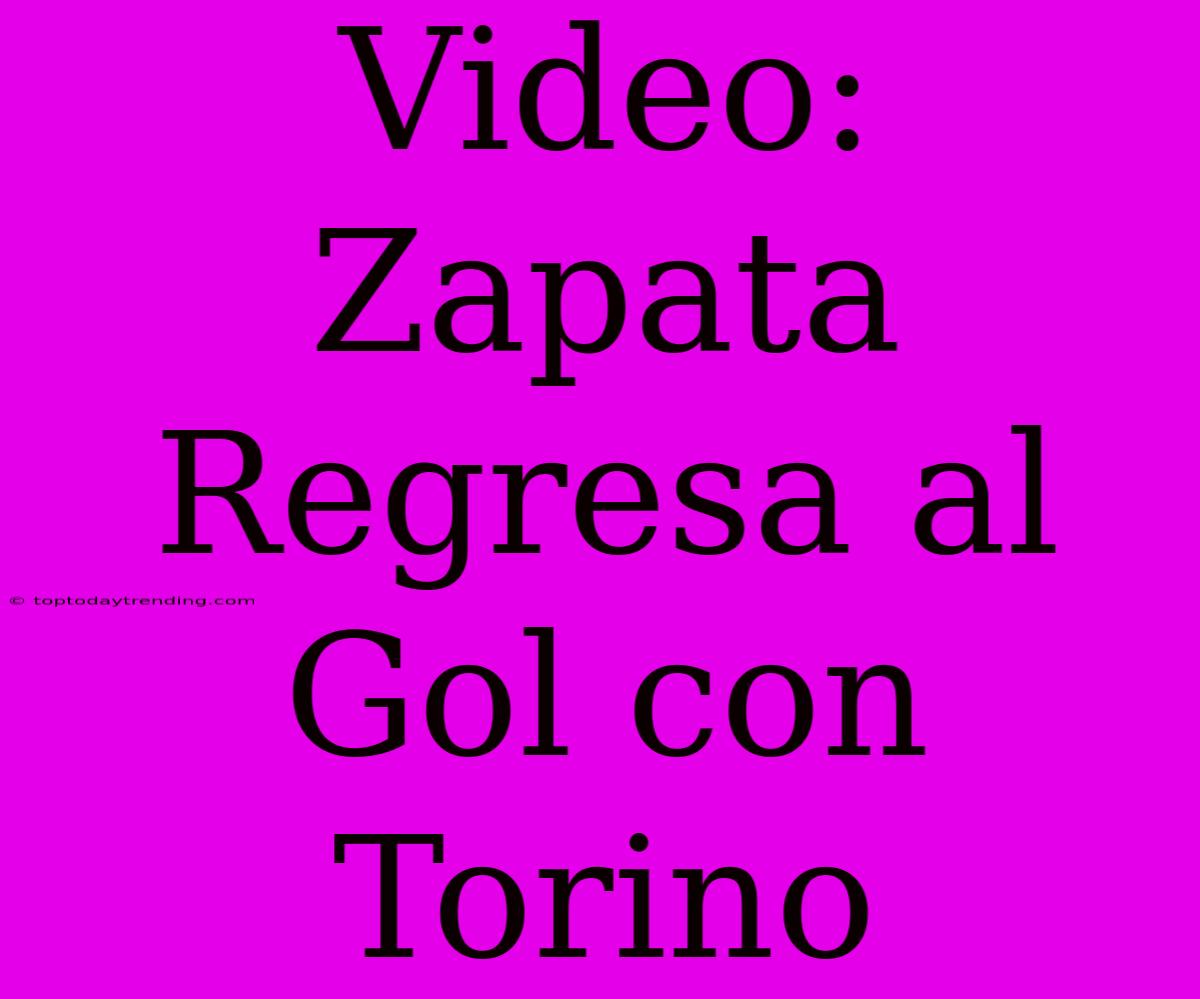 Video: Zapata Regresa Al Gol Con Torino