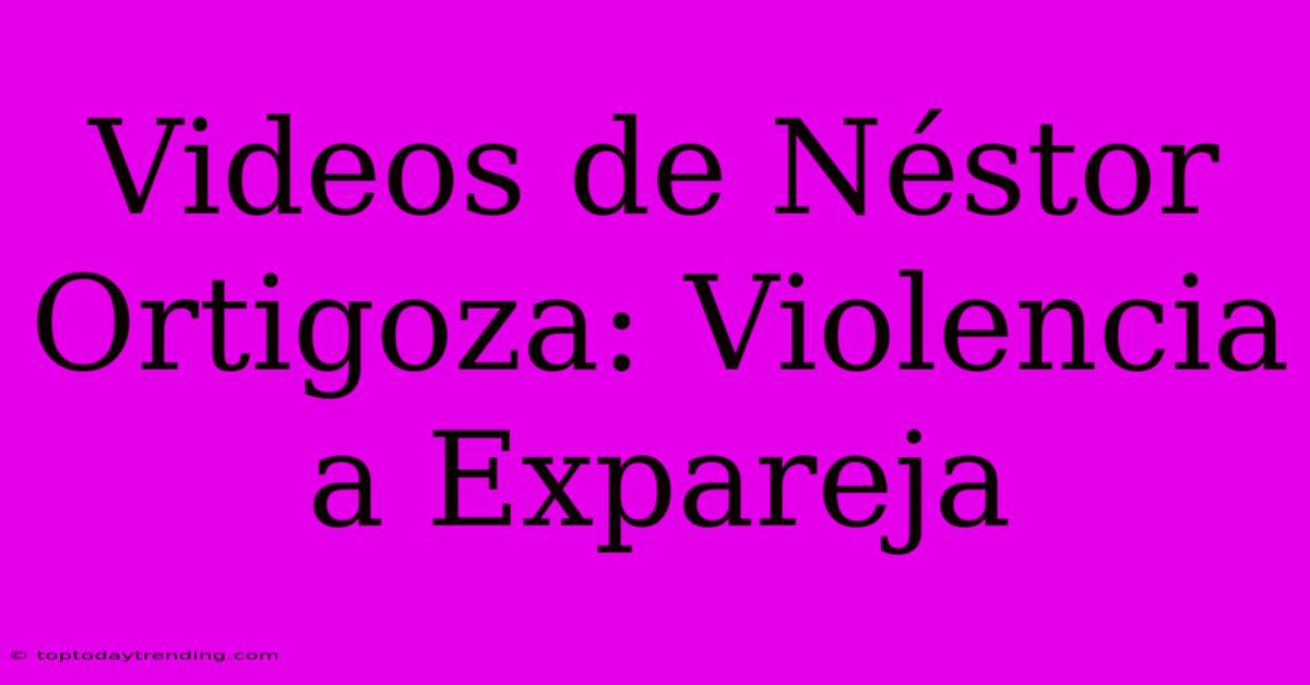 Videos De Néstor Ortigoza: Violencia A Expareja