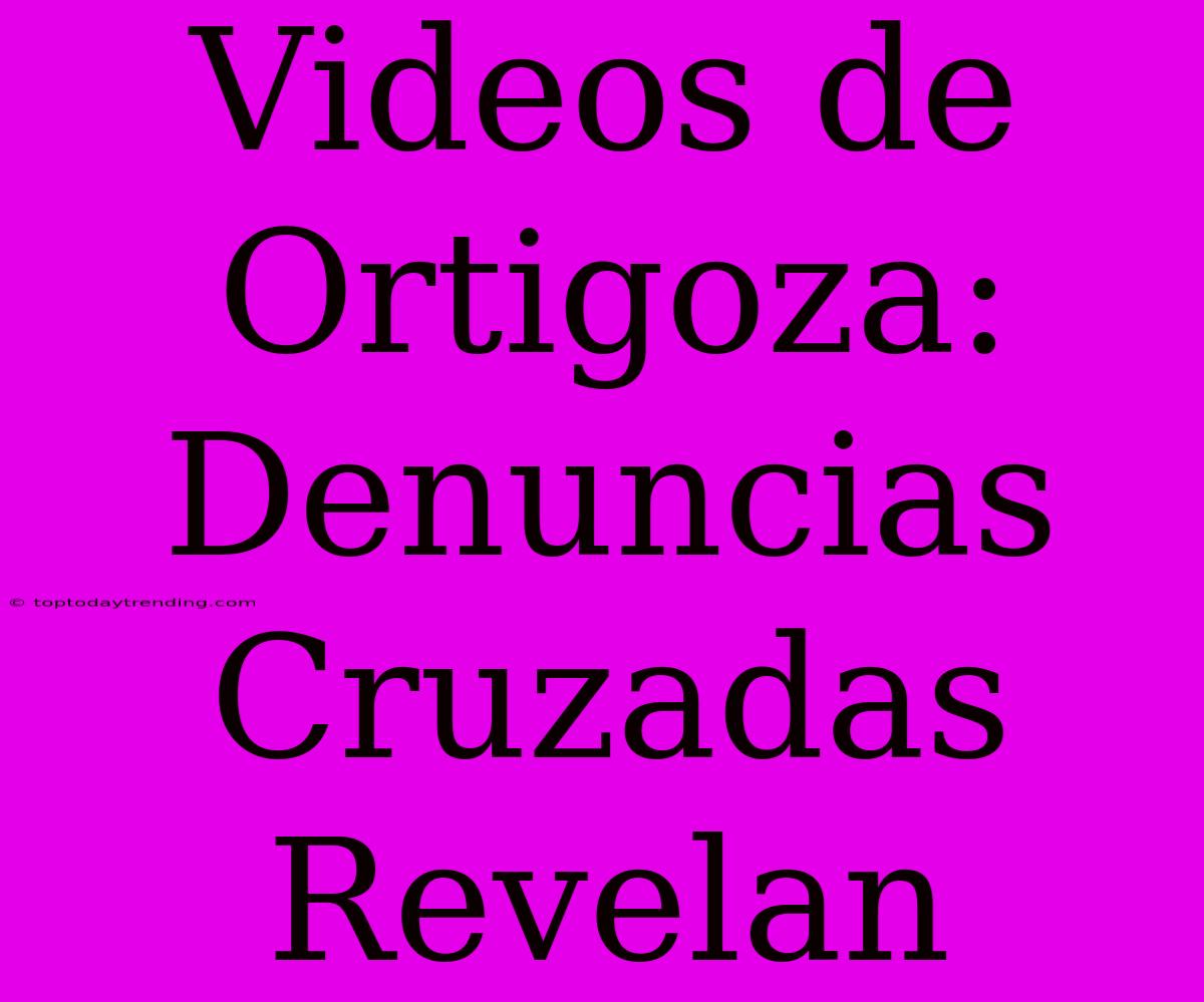 Videos De Ortigoza: Denuncias Cruzadas Revelan