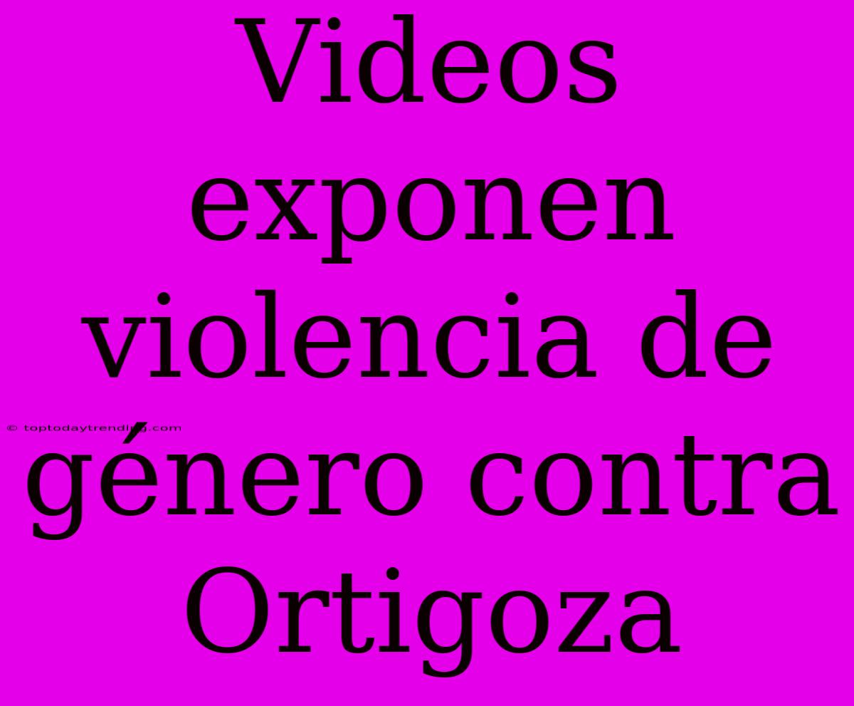 Videos Exponen Violencia De Género Contra Ortigoza