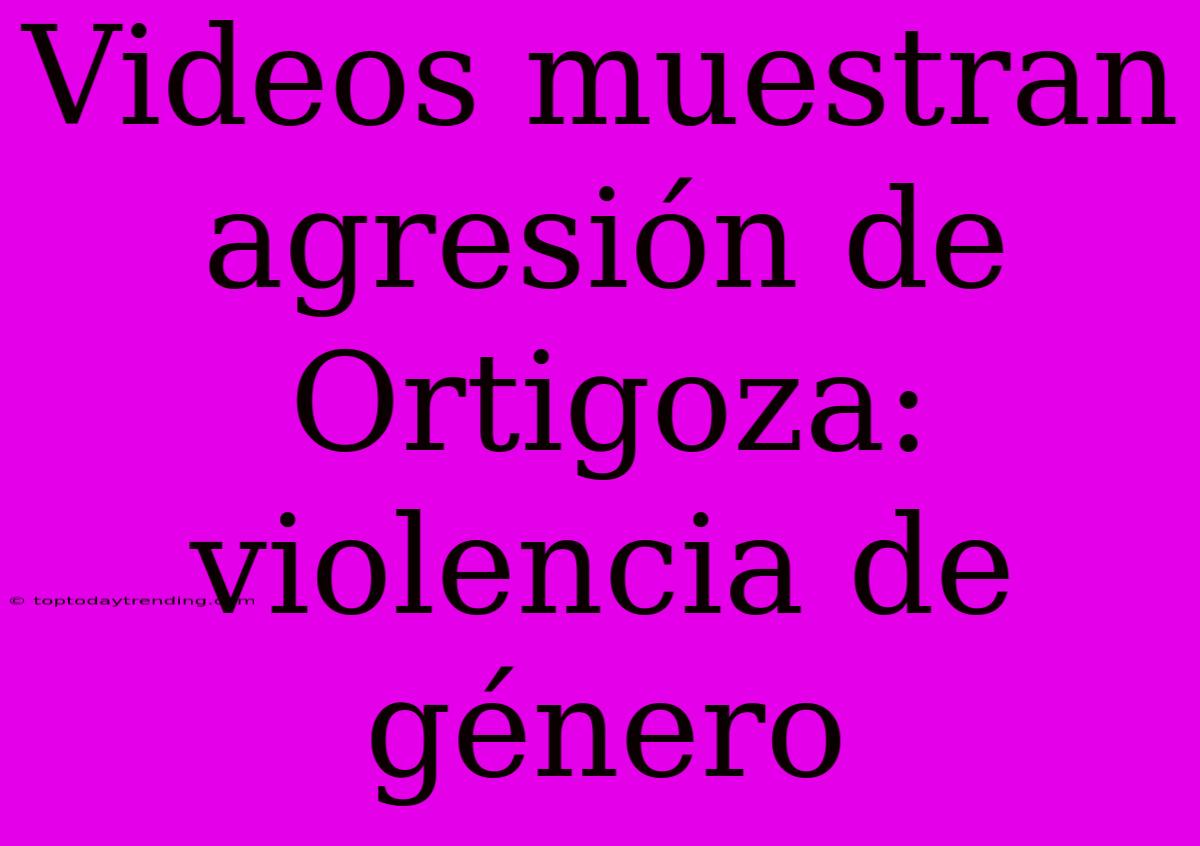 Videos Muestran Agresión De Ortigoza: Violencia De Género