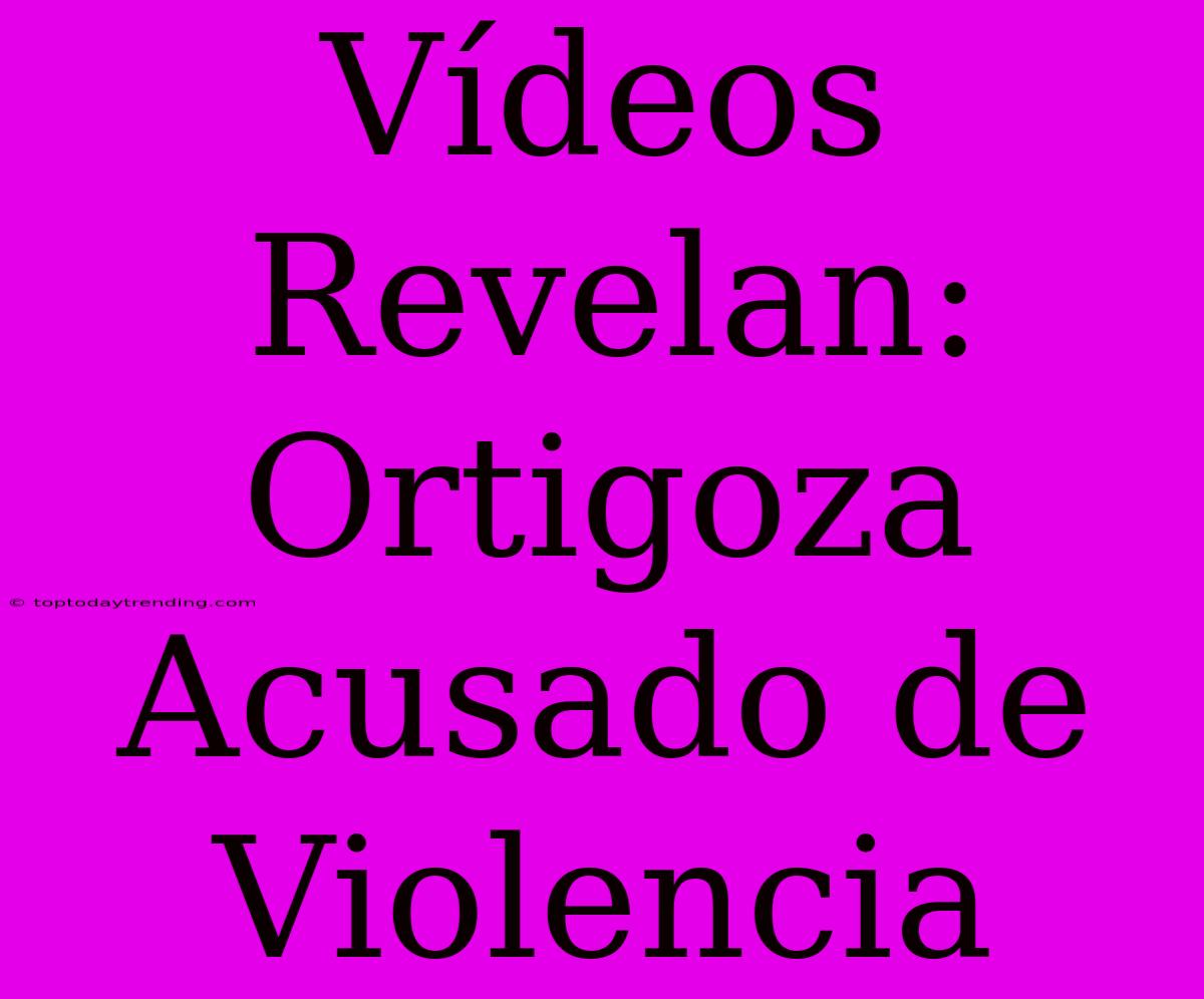 Vídeos Revelan: Ortigoza Acusado De Violencia