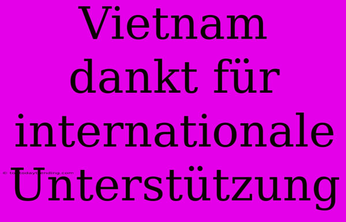 Vietnam Dankt Für Internationale Unterstützung