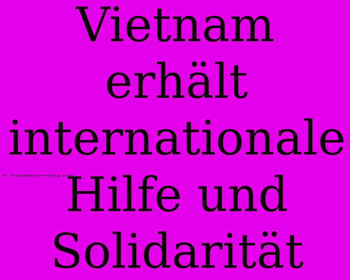 Vietnam Erhält Internationale Hilfe Und Solidarität