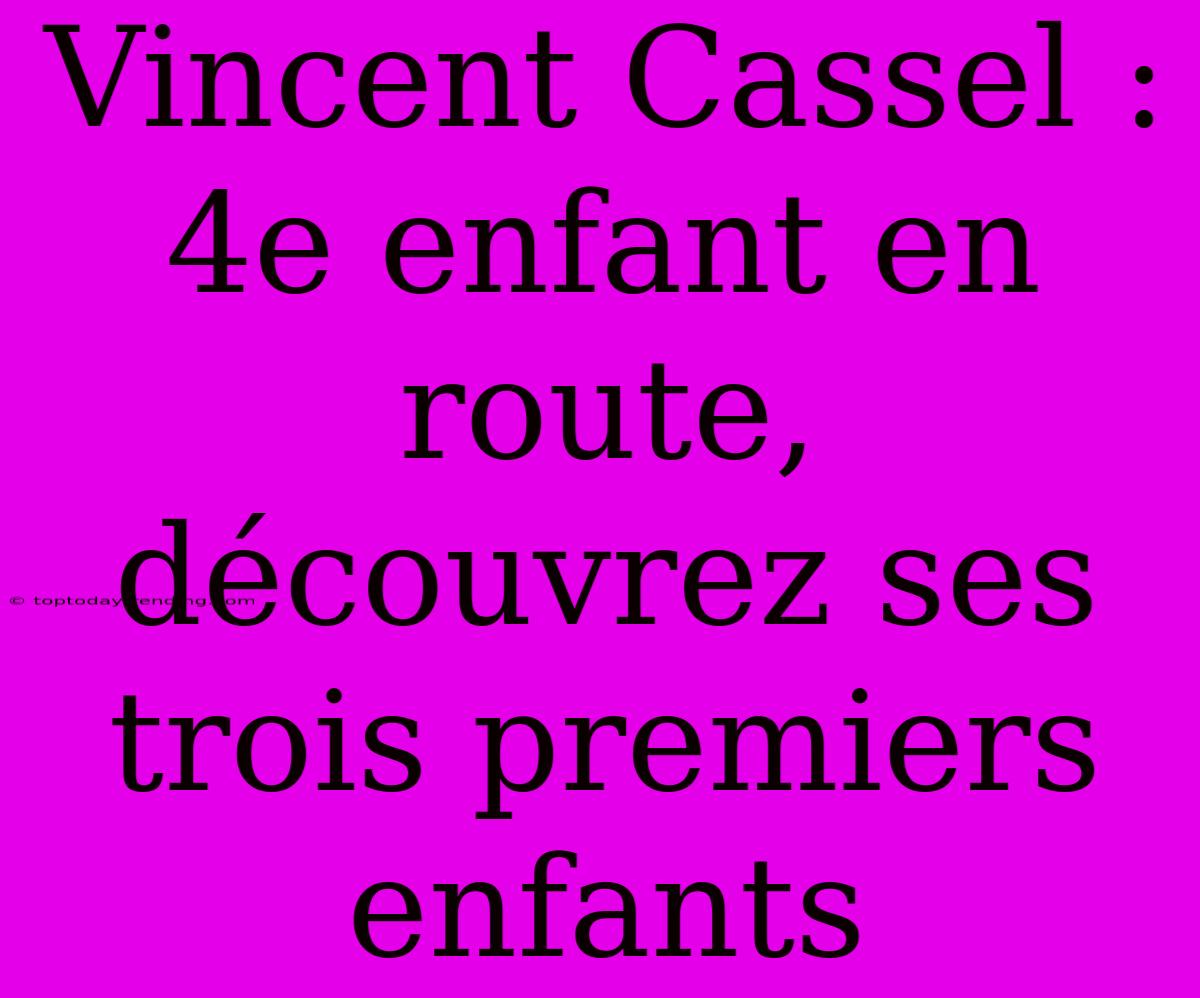 Vincent Cassel : 4e Enfant En Route, Découvrez Ses Trois Premiers Enfants