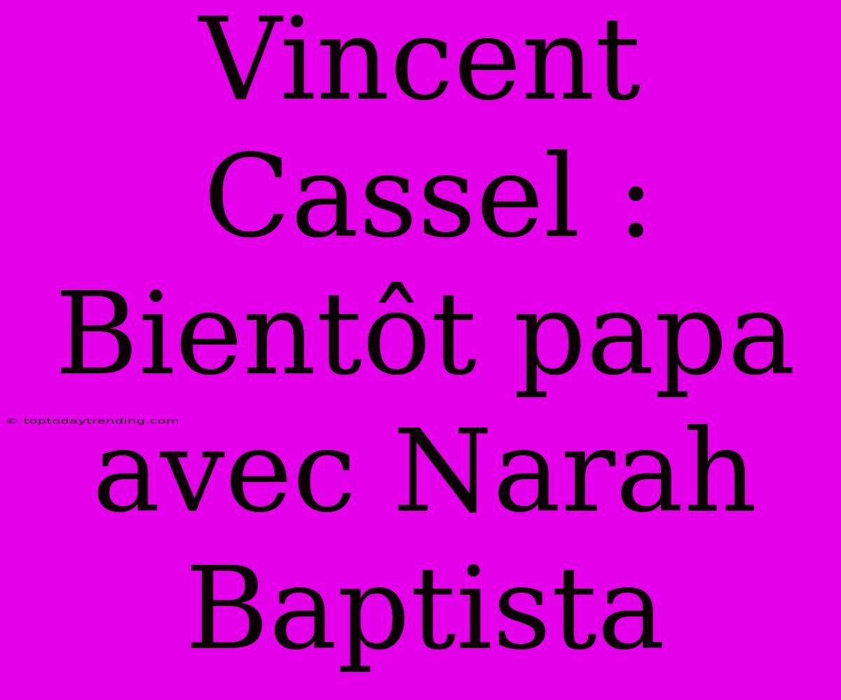 Vincent Cassel : Bientôt Papa Avec Narah Baptista