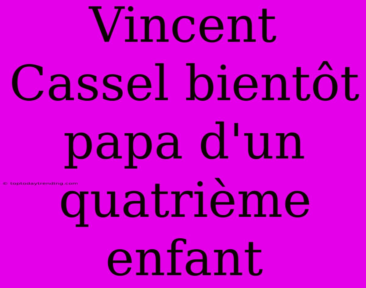 Vincent Cassel Bientôt Papa D'un Quatrième Enfant