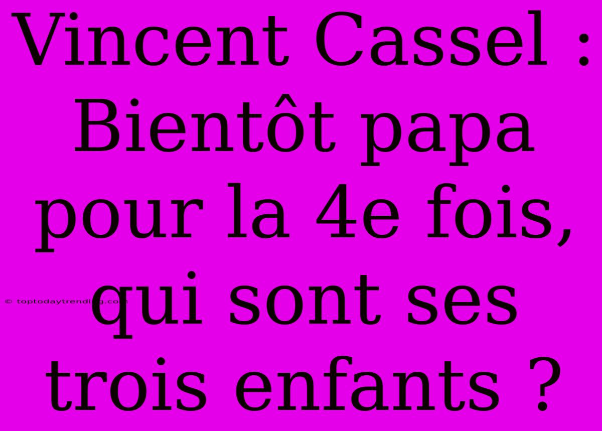 Vincent Cassel : Bientôt Papa Pour La 4e Fois, Qui Sont Ses Trois Enfants ?