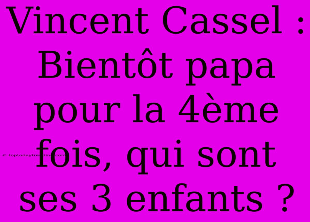 Vincent Cassel : Bientôt Papa Pour La 4ème Fois, Qui Sont Ses 3 Enfants ?