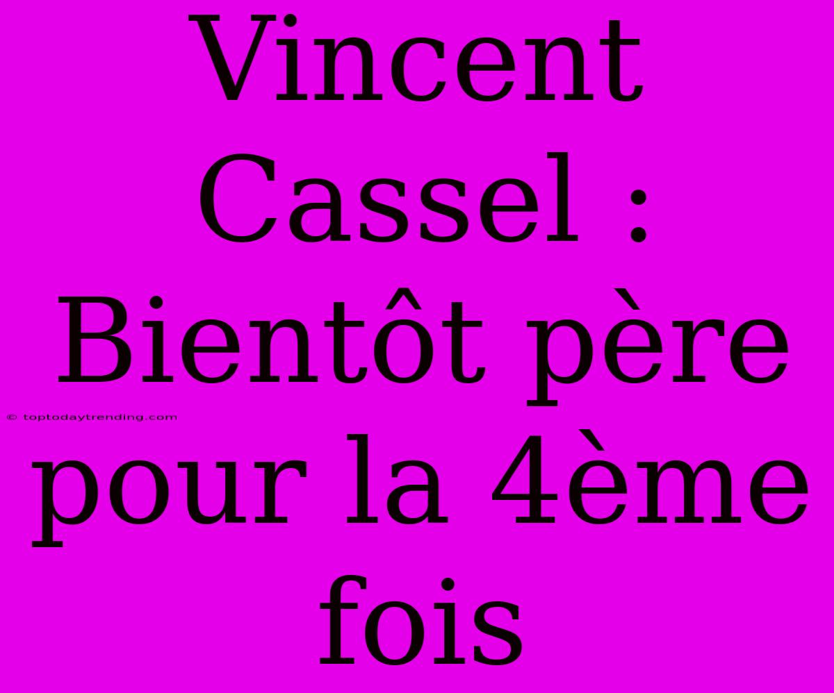 Vincent Cassel : Bientôt Père Pour La 4ème Fois