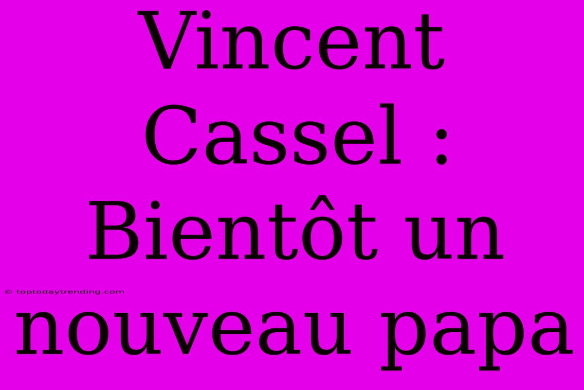 Vincent Cassel : Bientôt Un Nouveau Papa