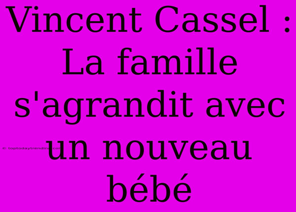 Vincent Cassel : La Famille S'agrandit Avec Un Nouveau Bébé