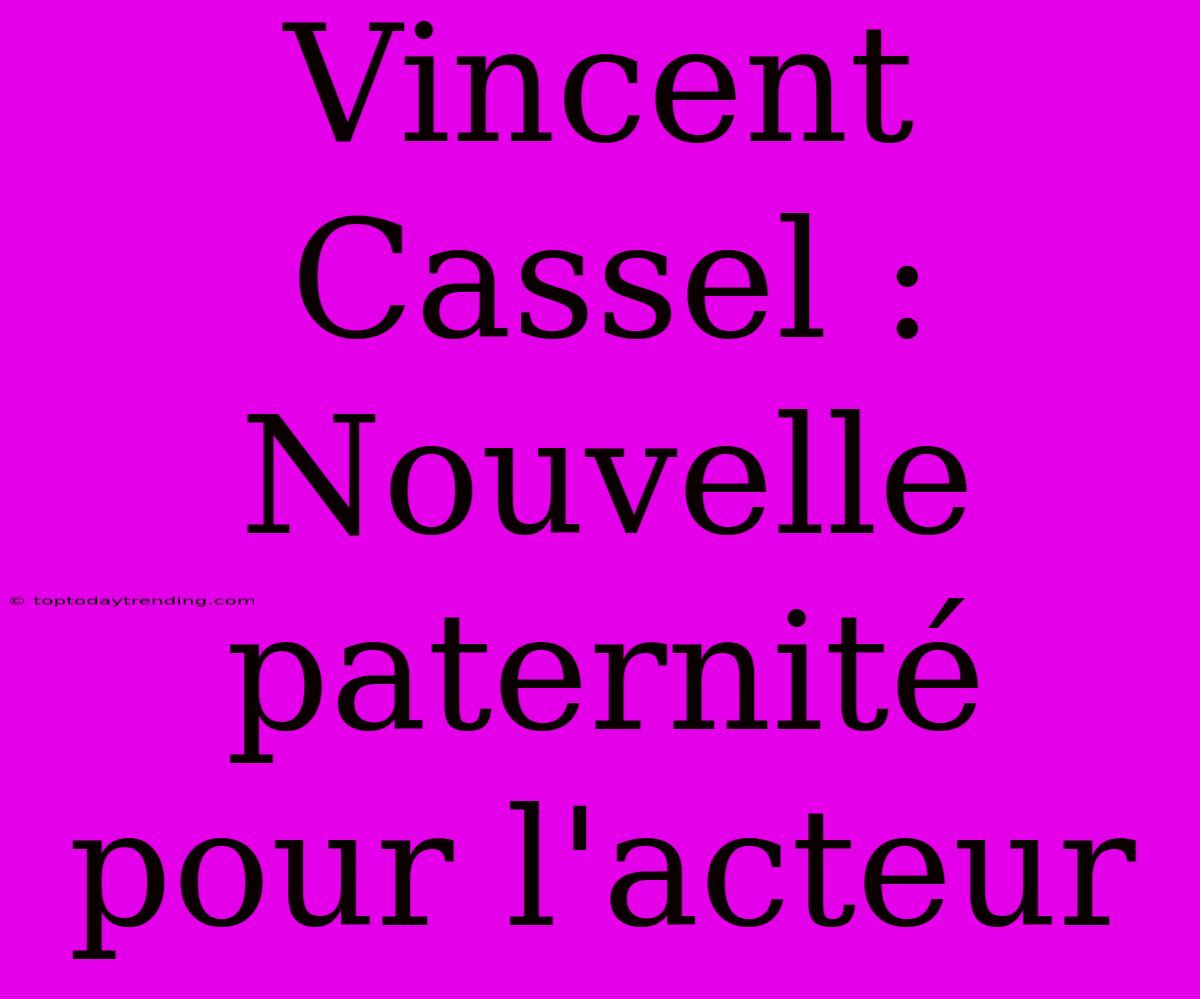 Vincent Cassel : Nouvelle Paternité Pour L'acteur