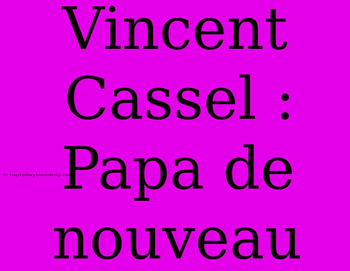 Vincent Cassel : Papa De Nouveau