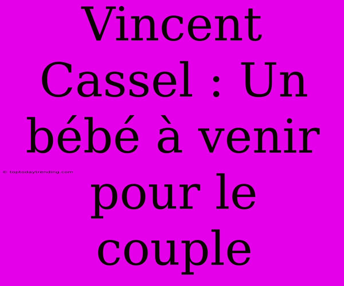 Vincent Cassel : Un Bébé À Venir Pour Le Couple