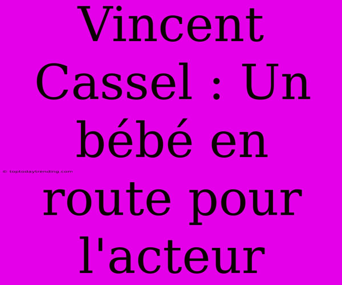 Vincent Cassel : Un Bébé En Route Pour L'acteur