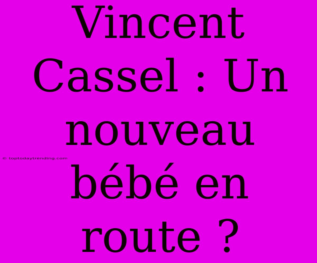 Vincent Cassel : Un Nouveau Bébé En Route ?