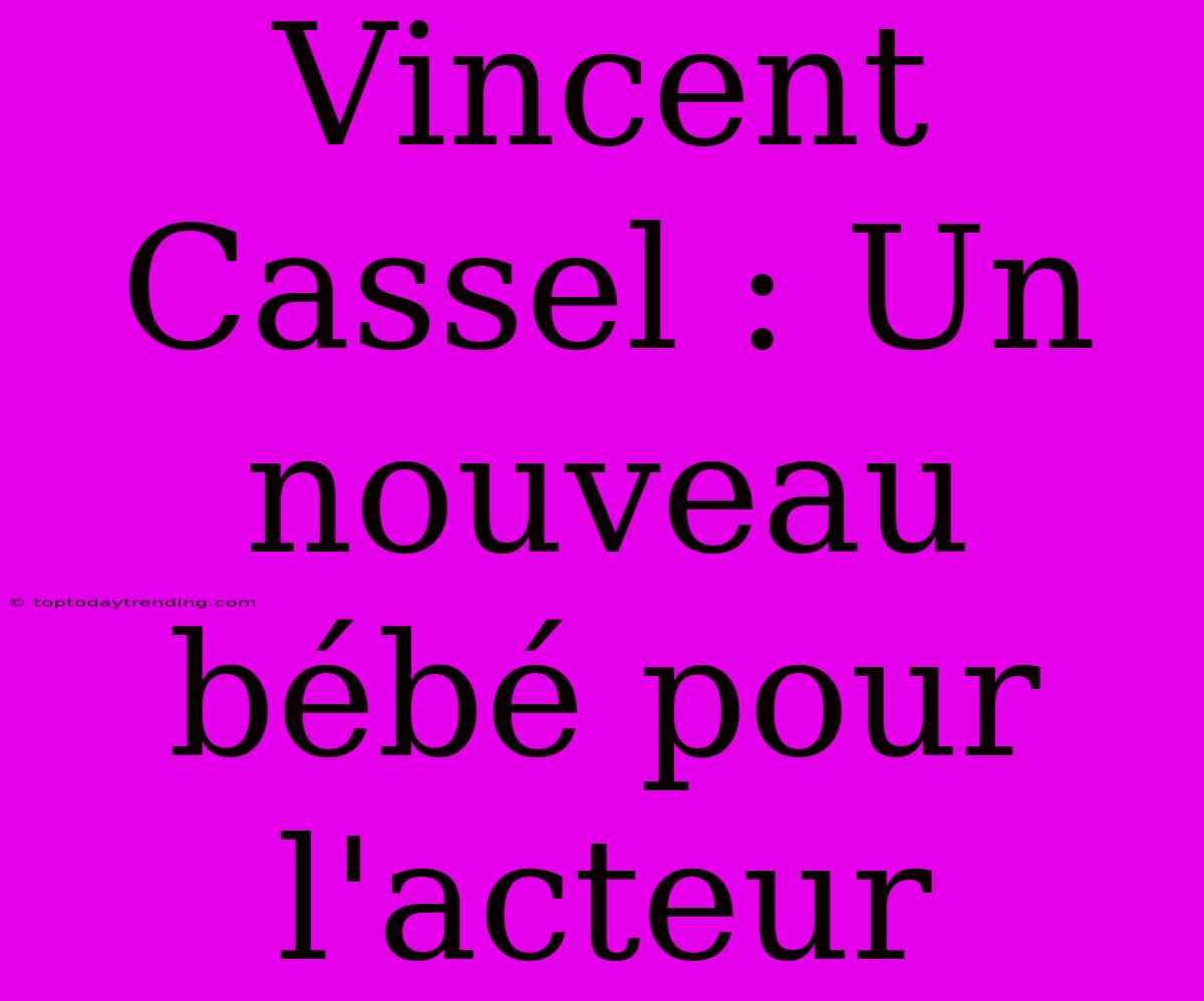 Vincent Cassel : Un Nouveau Bébé Pour L'acteur