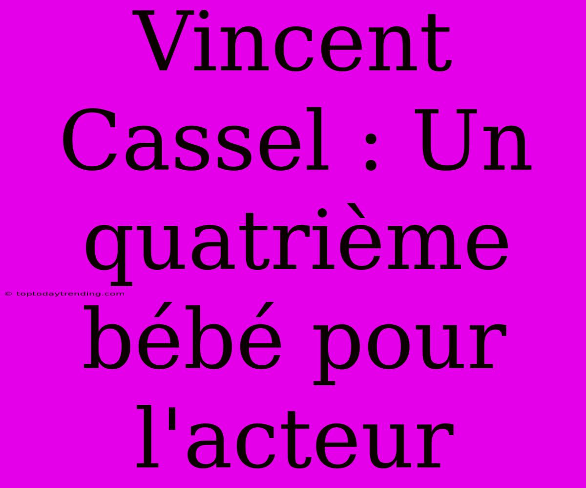 Vincent Cassel : Un Quatrième Bébé Pour L'acteur