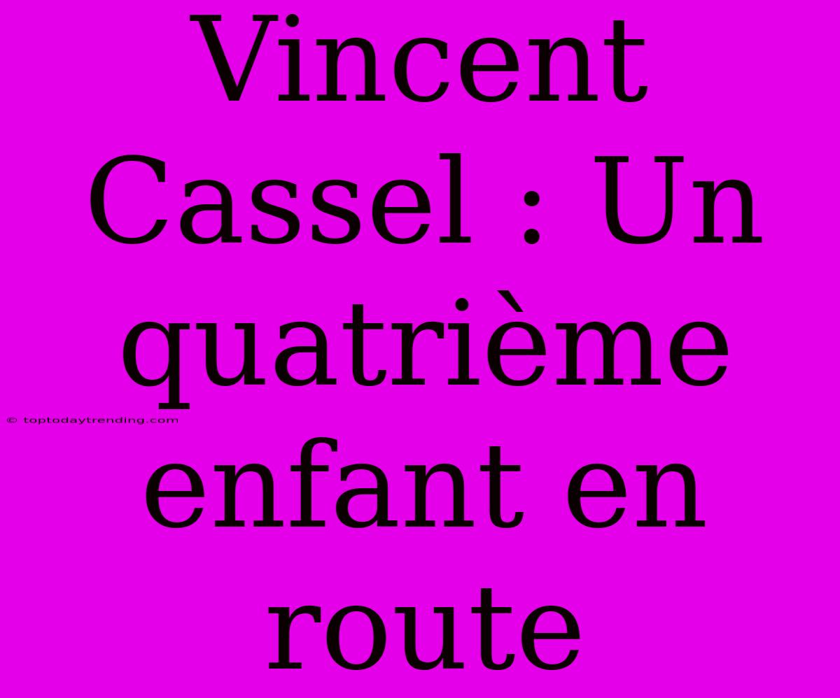 Vincent Cassel : Un Quatrième Enfant En Route