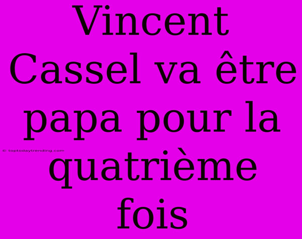 Vincent Cassel Va Être Papa Pour La Quatrième Fois