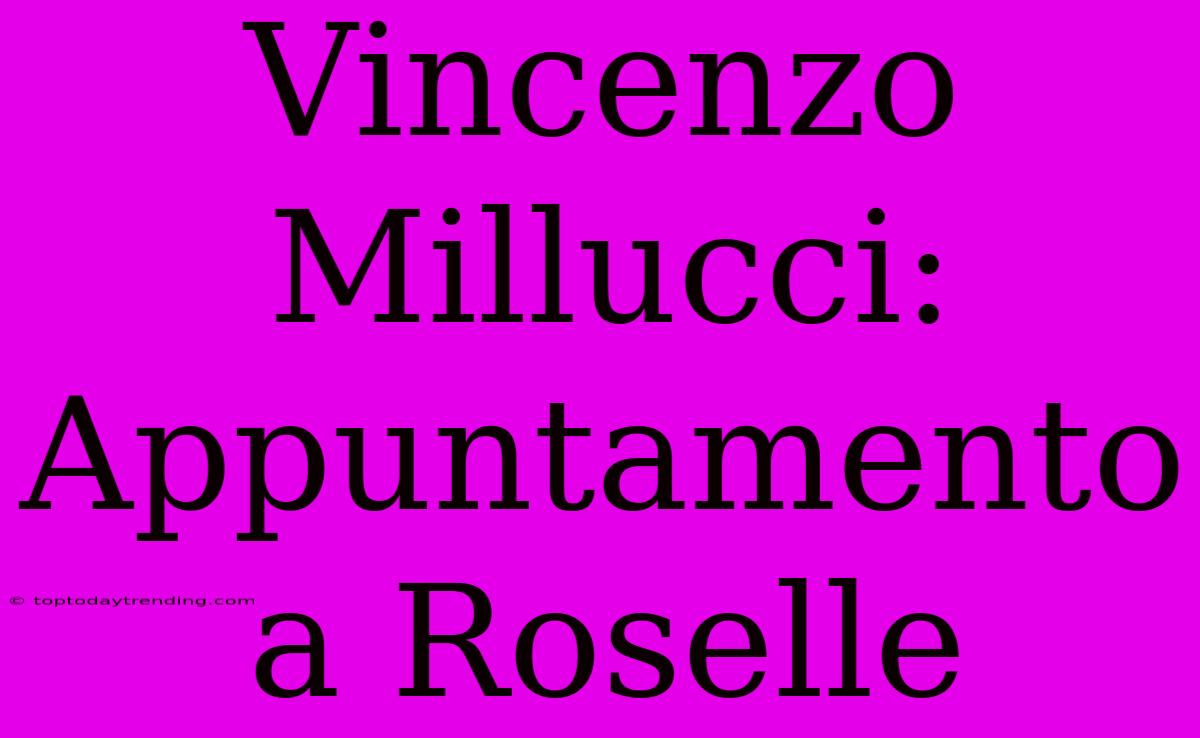 Vincenzo Millucci: Appuntamento A Roselle