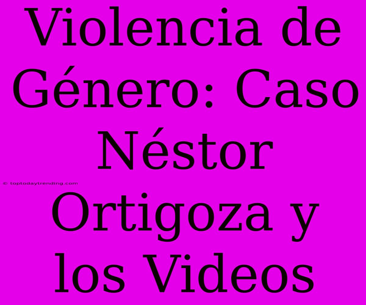 Violencia De Género: Caso Néstor Ortigoza Y Los Videos