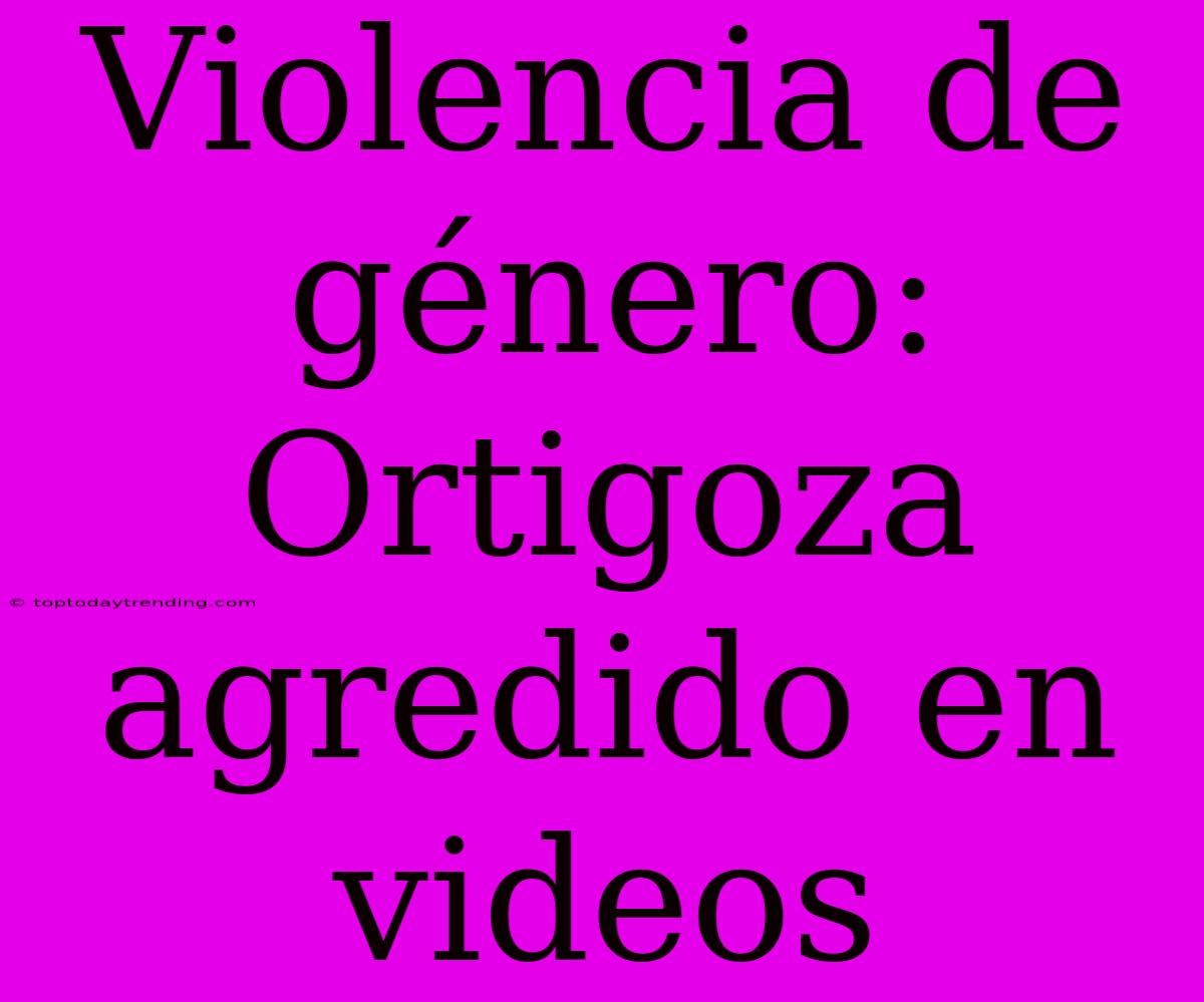 Violencia De Género: Ortigoza Agredido En Videos