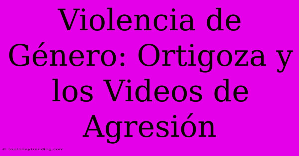 Violencia De Género: Ortigoza Y Los Videos De Agresión