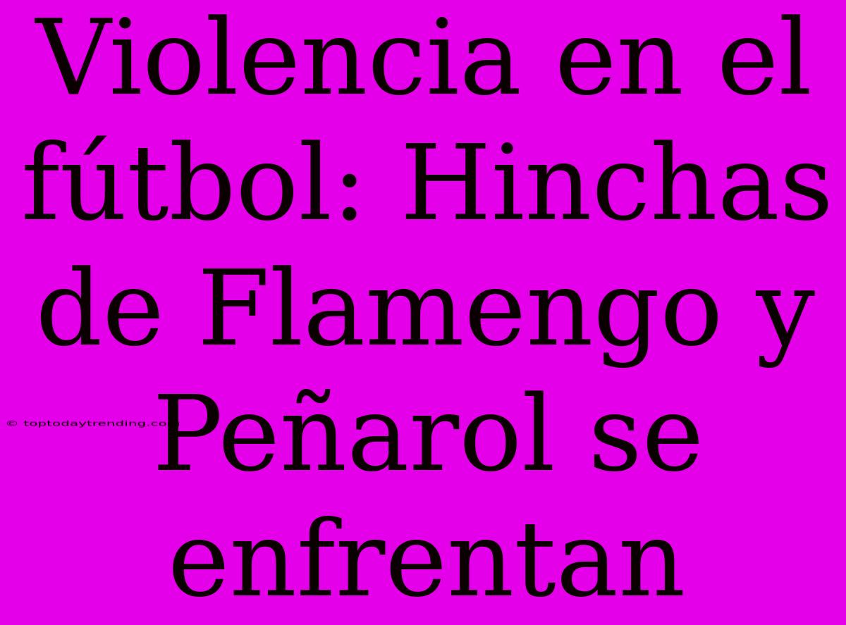 Violencia En El Fútbol: Hinchas De Flamengo Y Peñarol Se Enfrentan