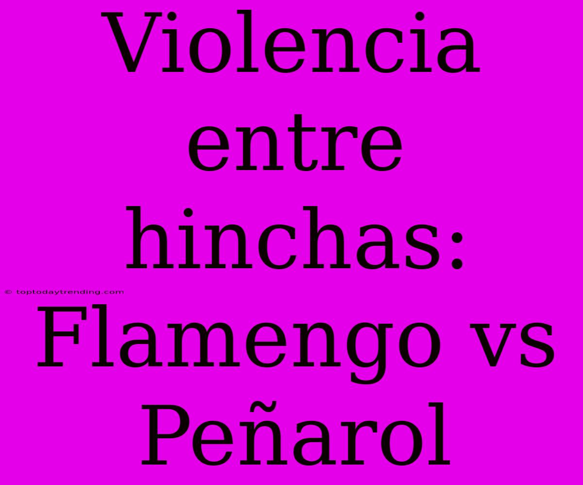 Violencia Entre Hinchas: Flamengo Vs Peñarol