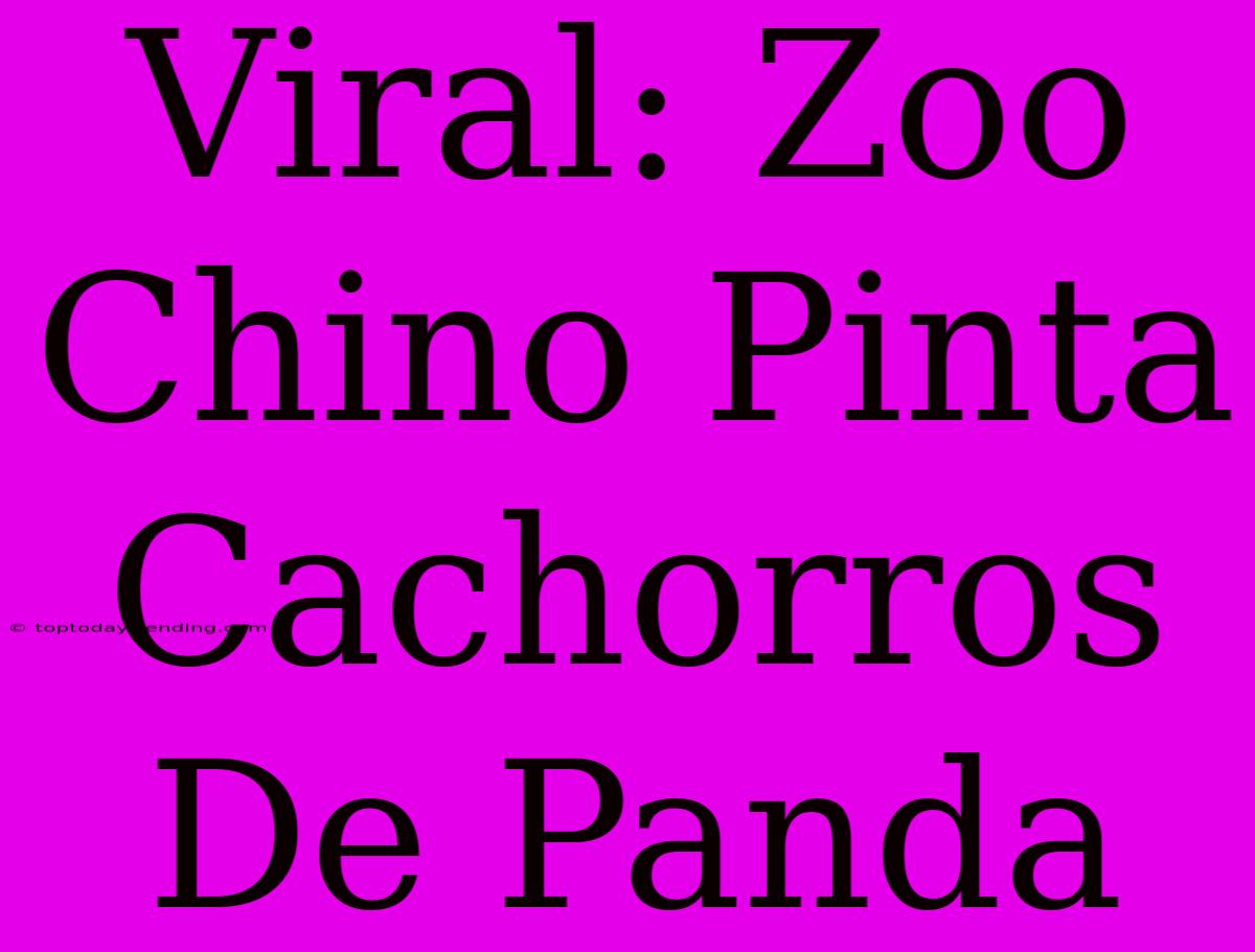 Viral: Zoo Chino Pinta Cachorros De Panda